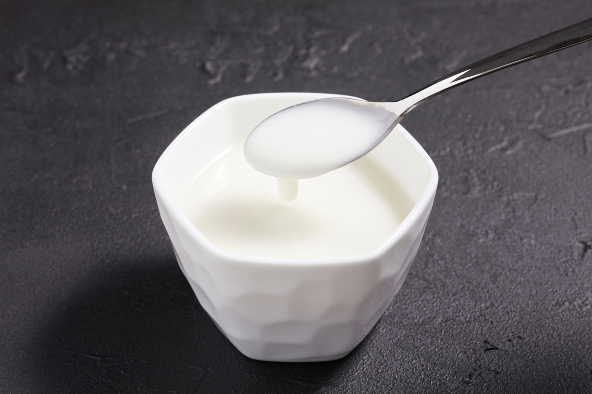 Yogur para perros: cuál pueden tomar, cuál evitar y cómo elegir una opción segura