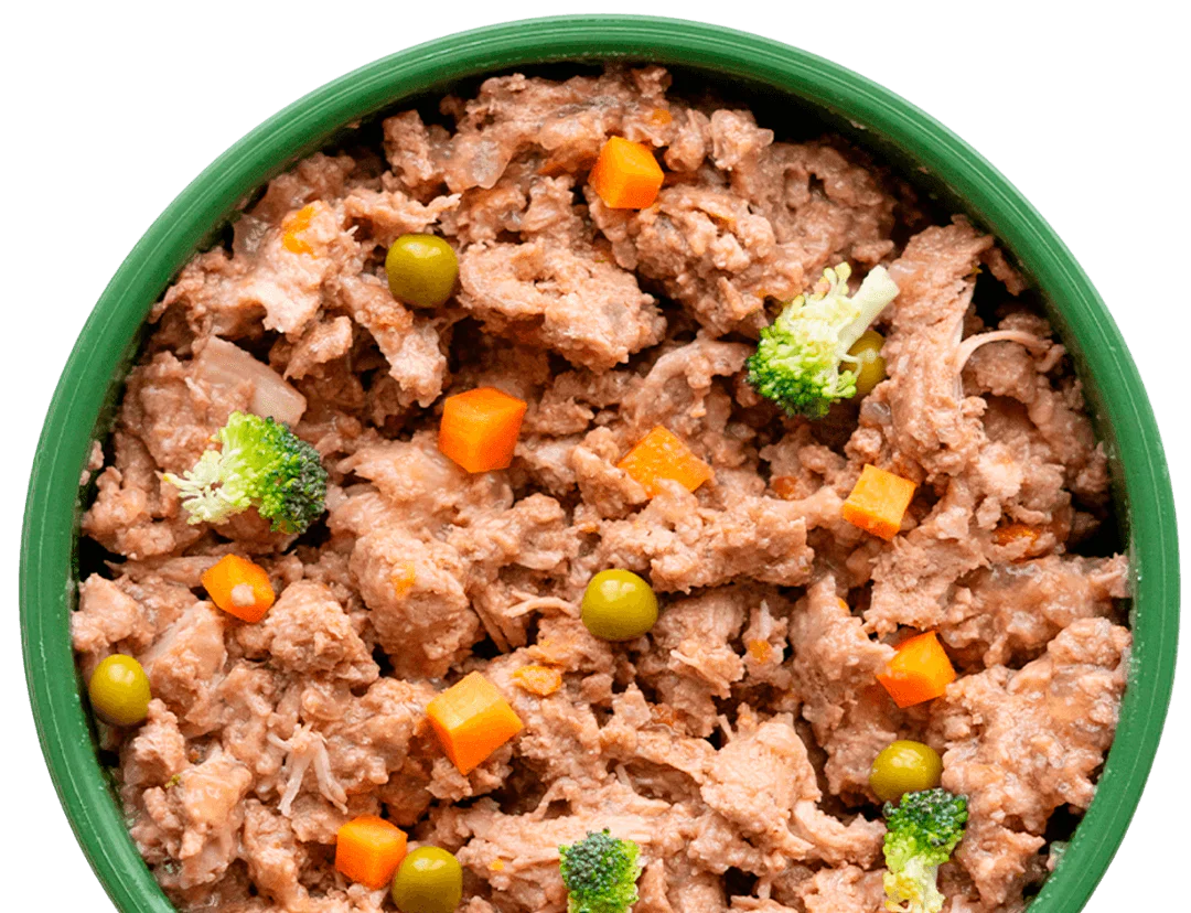 Comparativa de Alimentación Natural vs. Comida Procesada para Perros