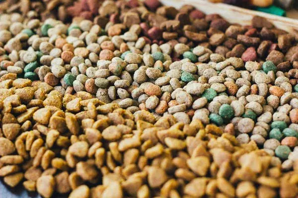 Proteínas de Calidad: La Clave para una Alimentación Mascotas Saludable y Equilibrada
