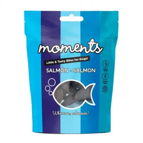 Guía definitiva para mejorar la dieta de tu mascota con Moments Salmón