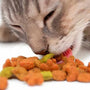 Pienso gatos cachorros