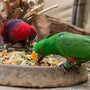 Comida
