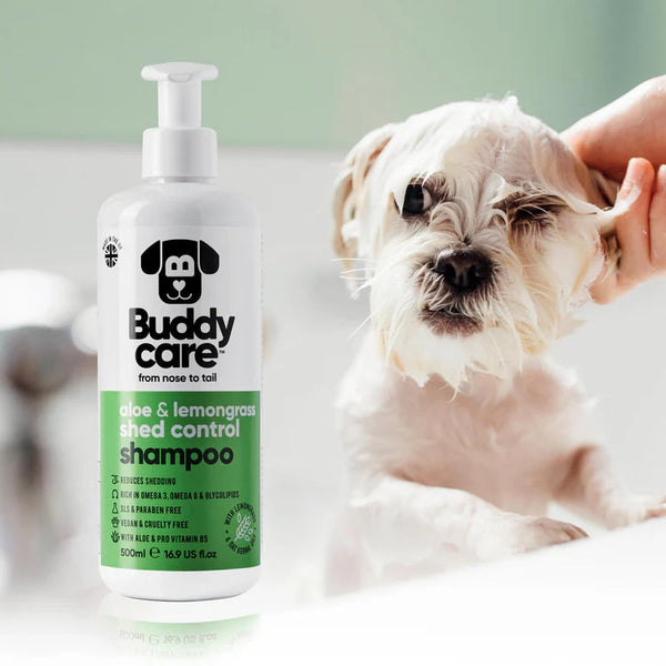 Buddy Care Champú Aloe & Lemongrass