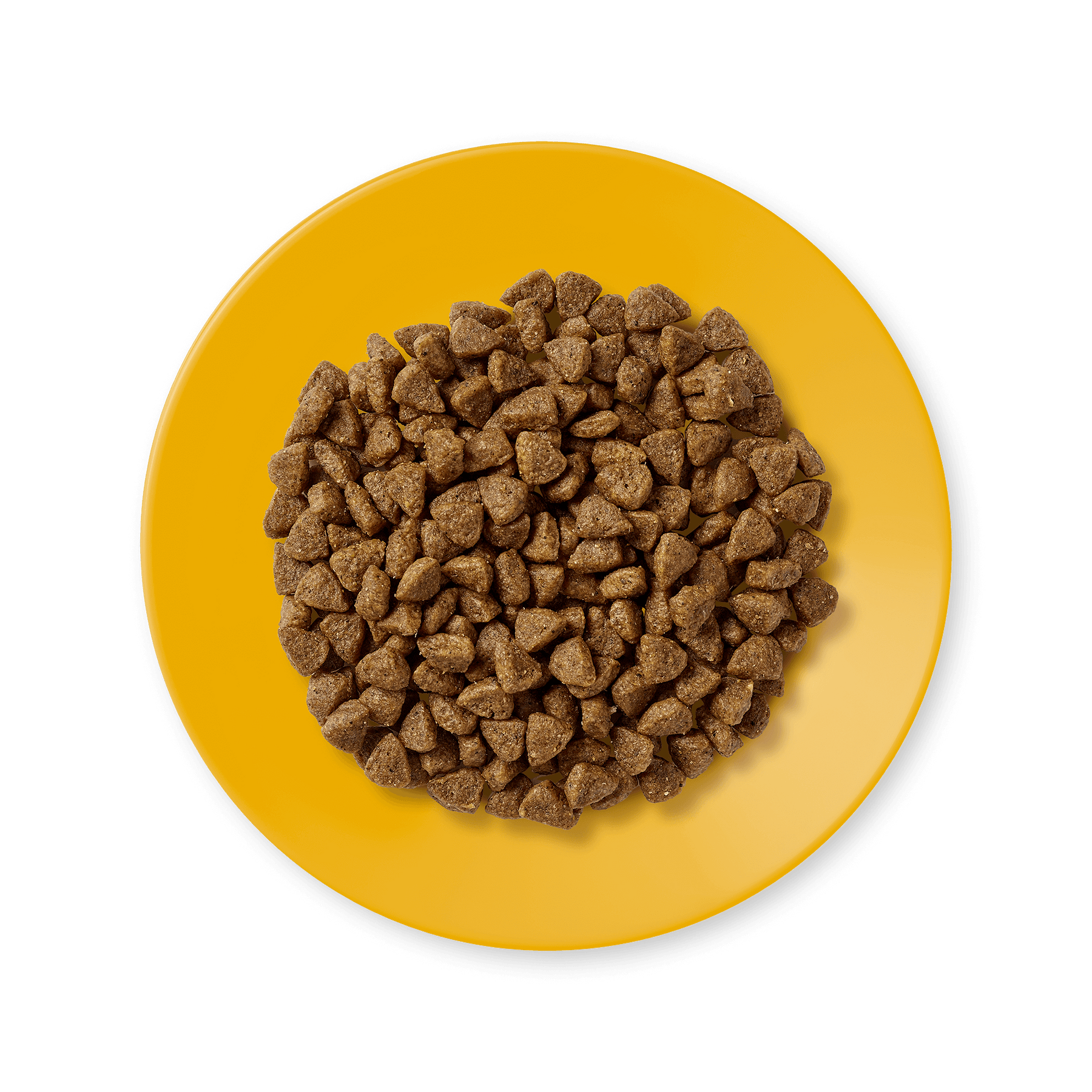 Applaws Kitten Pollo