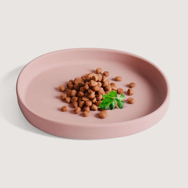 Comedero Silicona Plano Rosa