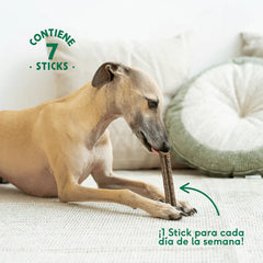Stick Dental Sensitive Wild Balance