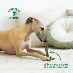 Stick Dental Calm Wild Balance