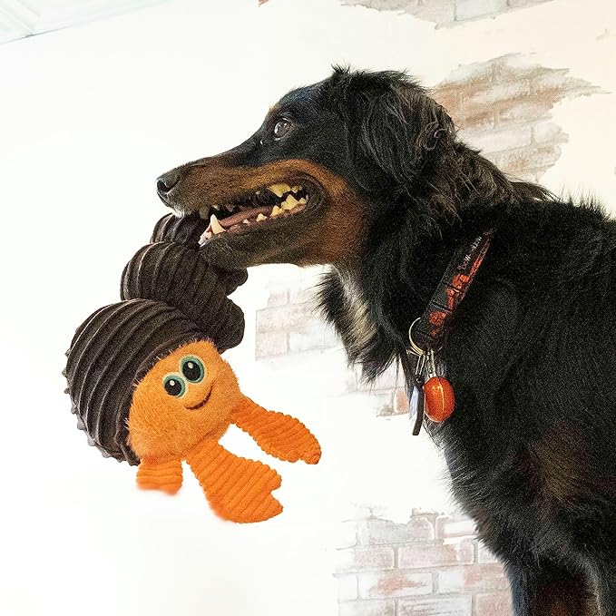 Kong Cuteseas Rufflez Hermit Crab - AnimalXop
