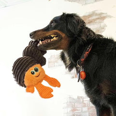 Kong Cuteseas Rufflez Hermit Crab - AnimalXop