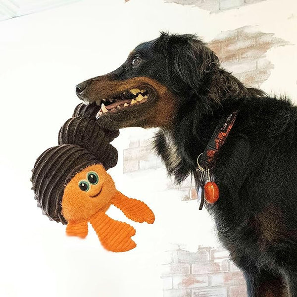 Kong Cuteseas Rufflez Hermit Crab