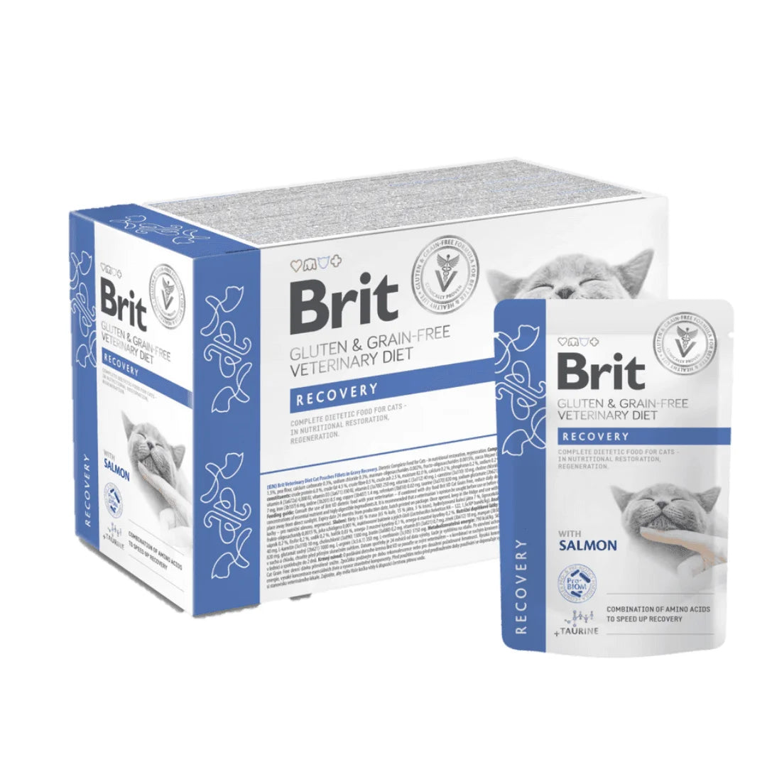 Brit Dieta Veterinaria Recovery GF Brit