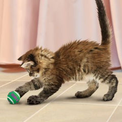 Kong Tennis Balls Cat - AnimalXop