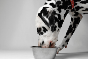 Alimentación Natural