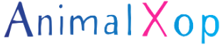 AnimalXop