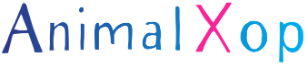 AnimalXop