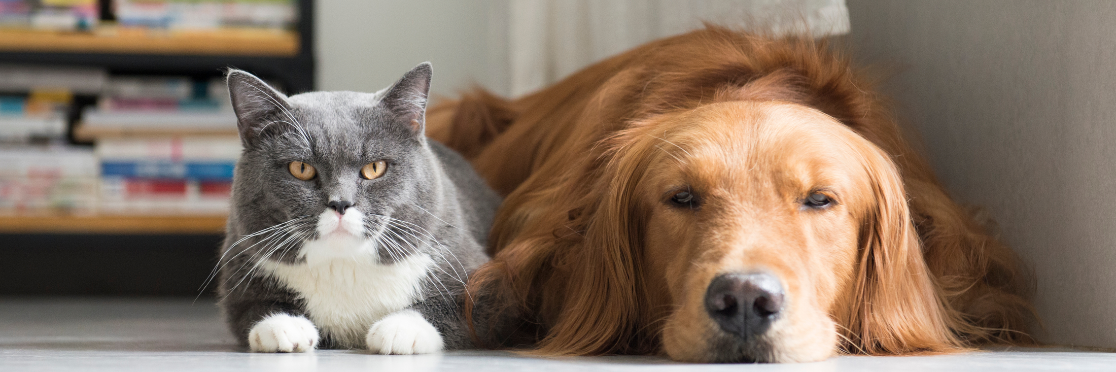 Atención al Cliente: