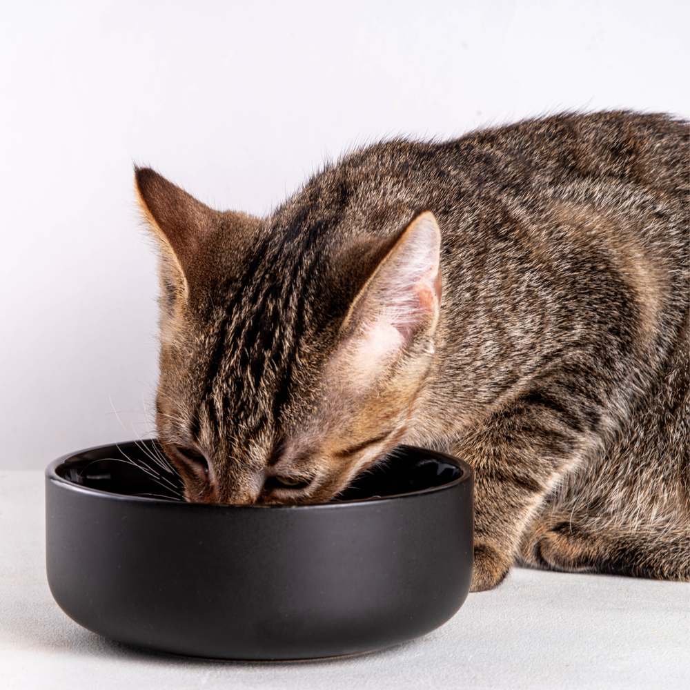 Alimentación Natural