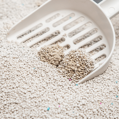 Toi Moi Arena Eco Olor Natural Aglomerante 10L