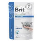 Brit Dieta Veterinaria Gravy Recovery GF