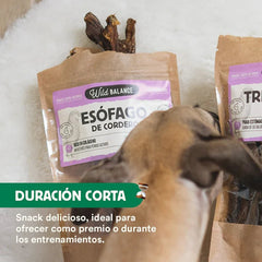 Esófago de Cordero - AnimalXop