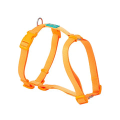 Freedog Arnés Nylon Basic Naranja 10mm Disgalsur