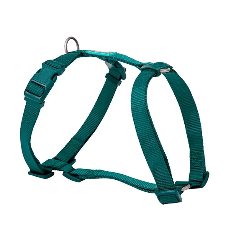 Freedog Arnés Nylon Basic Verde 15mm Disgalsur