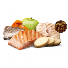 Zen Adult Grain Free Salmón y Pescado Blanco - AnimalXop