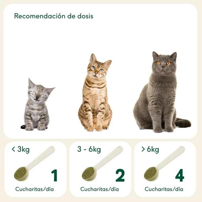 Articulaciones de acero