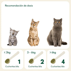 Digestiones firmes - AnimalXop