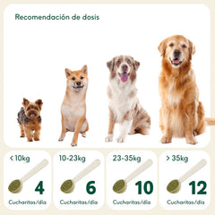 Digestiones firmes - AnimalXop