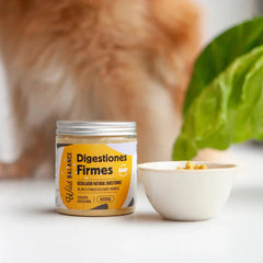 Digestiones firmes - AnimalXop