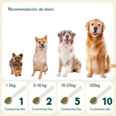 Cáscara escaramujo - AnimalXop