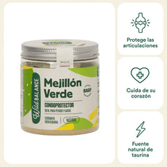 Mejillón verde - AnimalXop