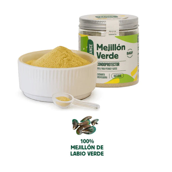 Mejillón verde