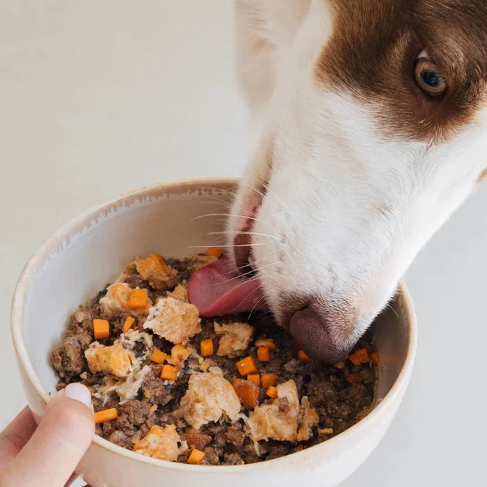 Wild Balance Lata Salmón - AnimalXop