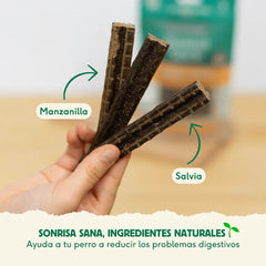 Stick Dental Sensitive Wild Balance