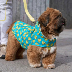 Chubasquero Impermeable con Capucha Ducks