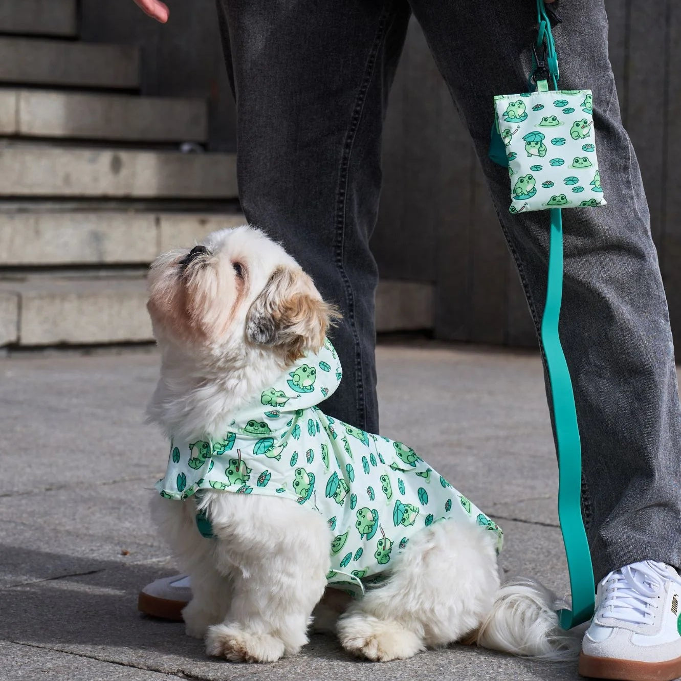 Chubasquero Impermeable con Capucha Frogs
