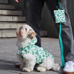 Chubasquero Impermeable con Capucha Frogs