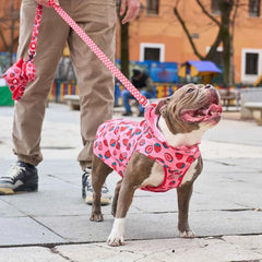 Chubasquero Impermeable con Capucha Berry Love