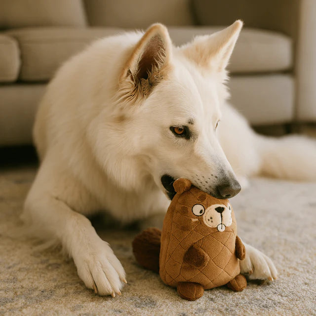 Twinbee Castor Juguete Duro