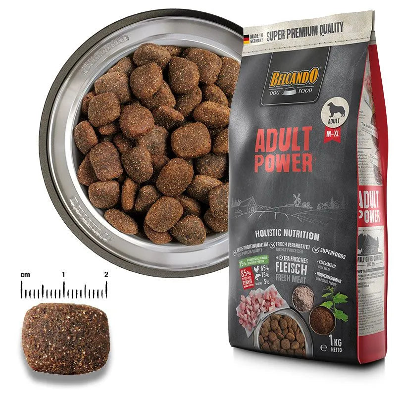 Belcando Adult Power M-XL Belcando