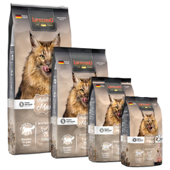 Leonardo Adult Maxi GF - AnimalXop