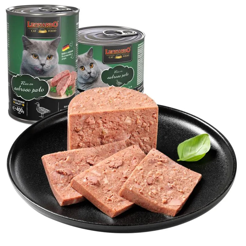 Leonardo Lata Pato Leonardo