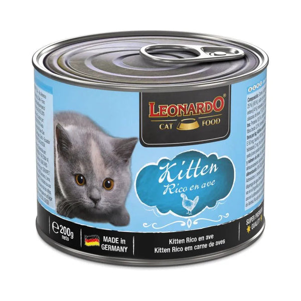 Leonardo Lata Kitten Leonardo