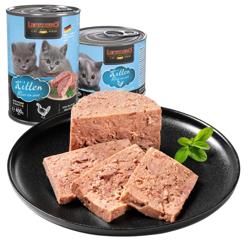 Leonardo Lata Kitten Leonardo
