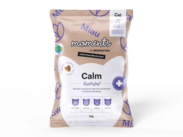 Moments Cat Calm Dingonatura