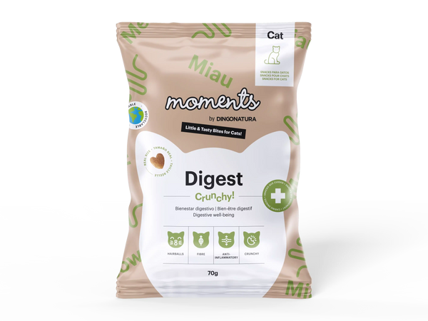 Moments Cat Digest Dingonatura