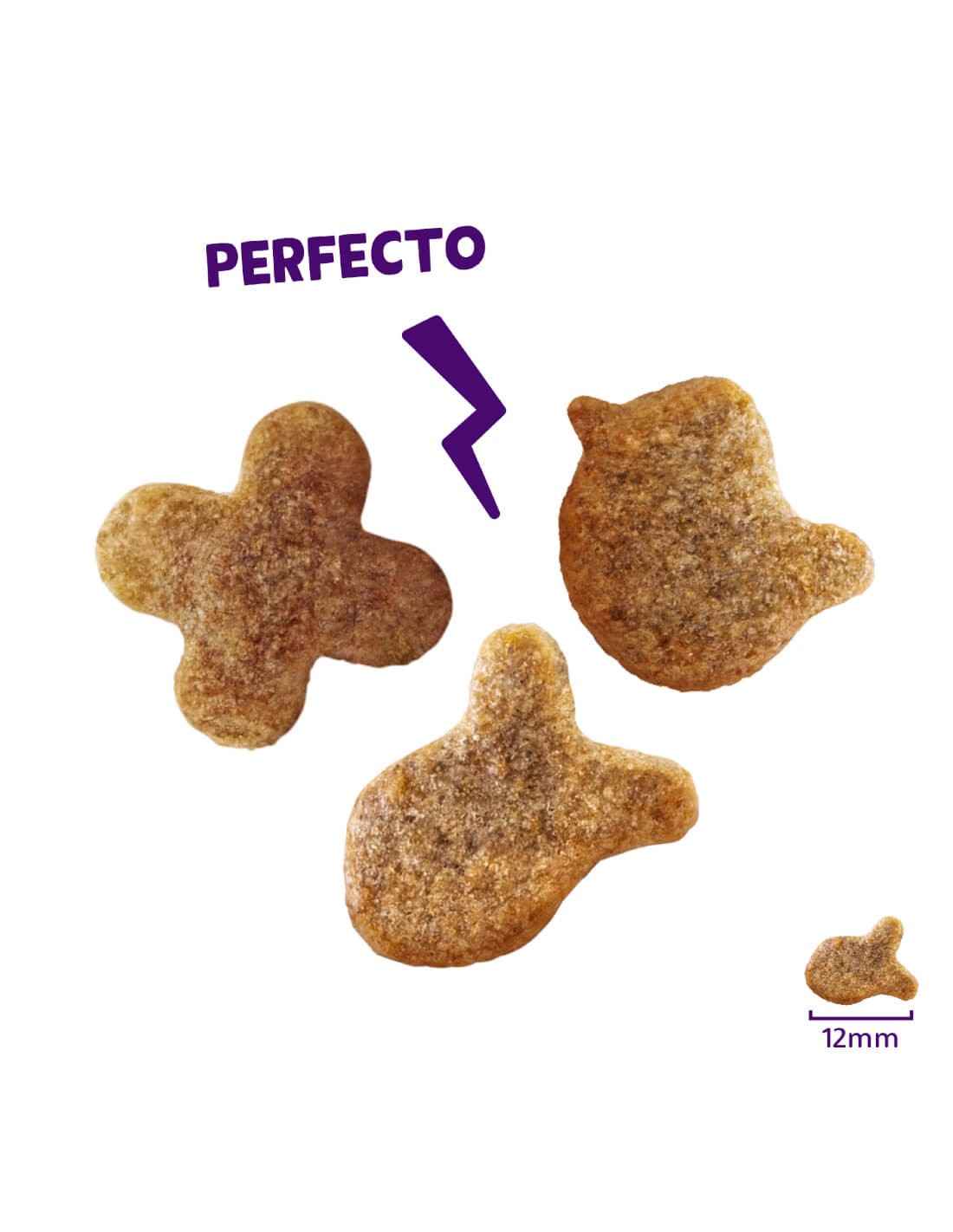Galletitas de Pollo Crunchies