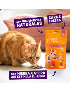 Galletitas de Pollo Crunchies
